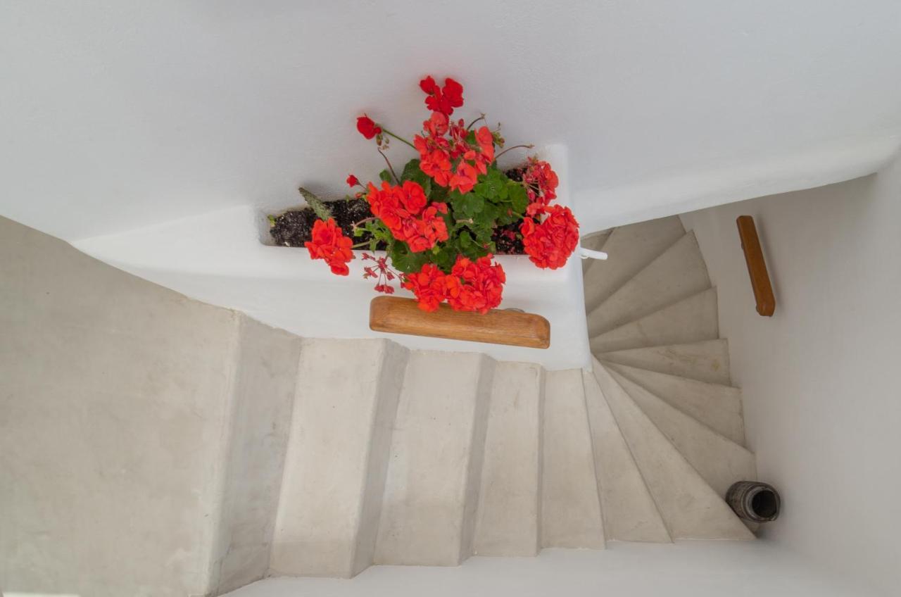 Lasia Boutique Apartment Ándros 外观 照片